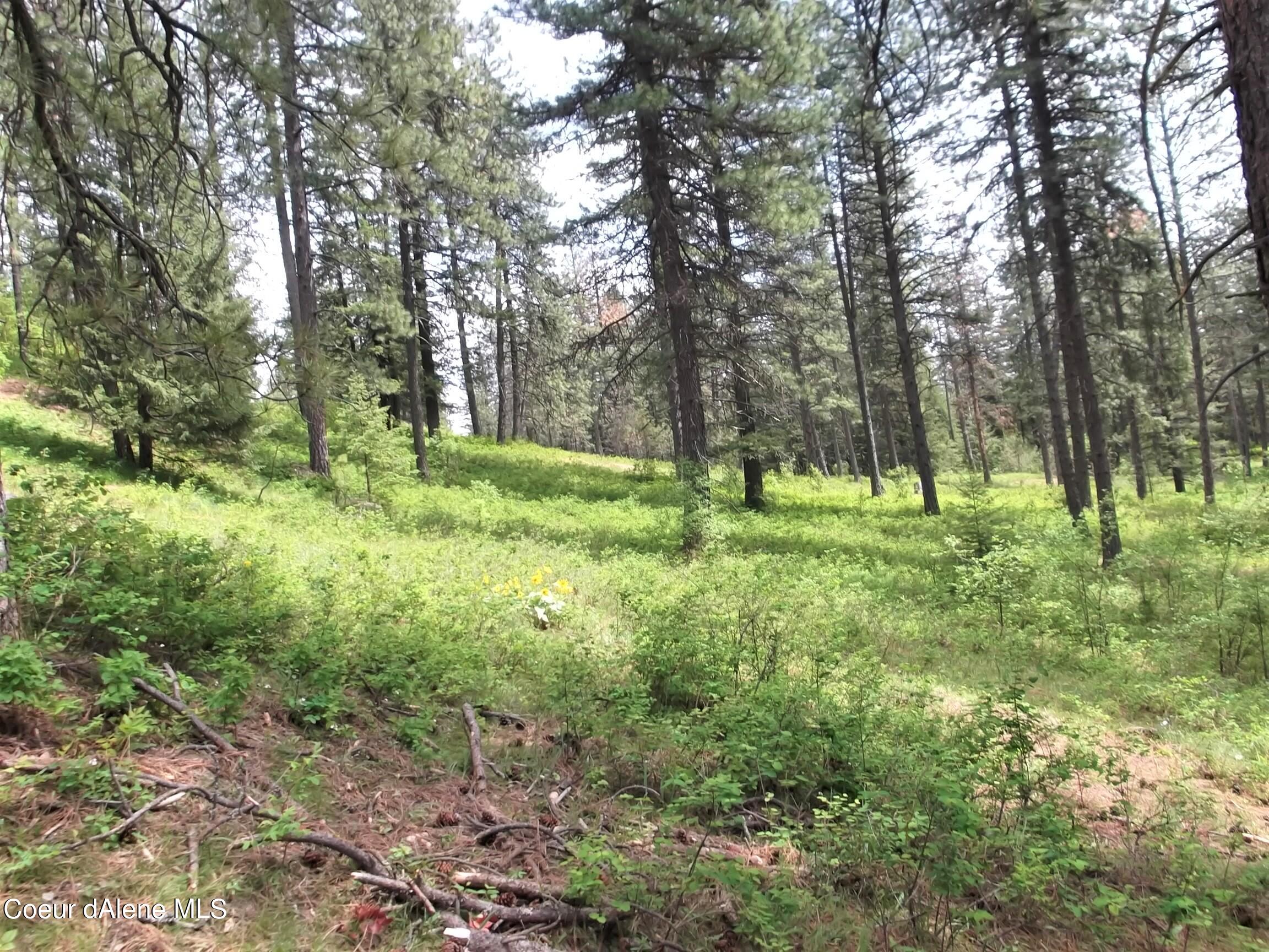 Nna West Dazyduck Court Rathdrum, ID 83858 - Photo 2 of 5 2