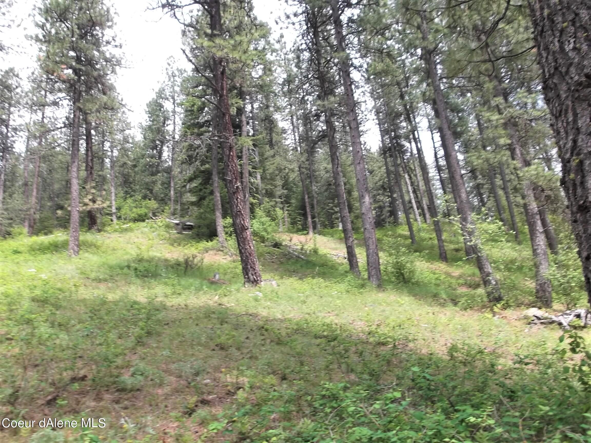 Nna West Dazyduck Court Rathdrum, ID 83858 - Photo 5 of 5 3
