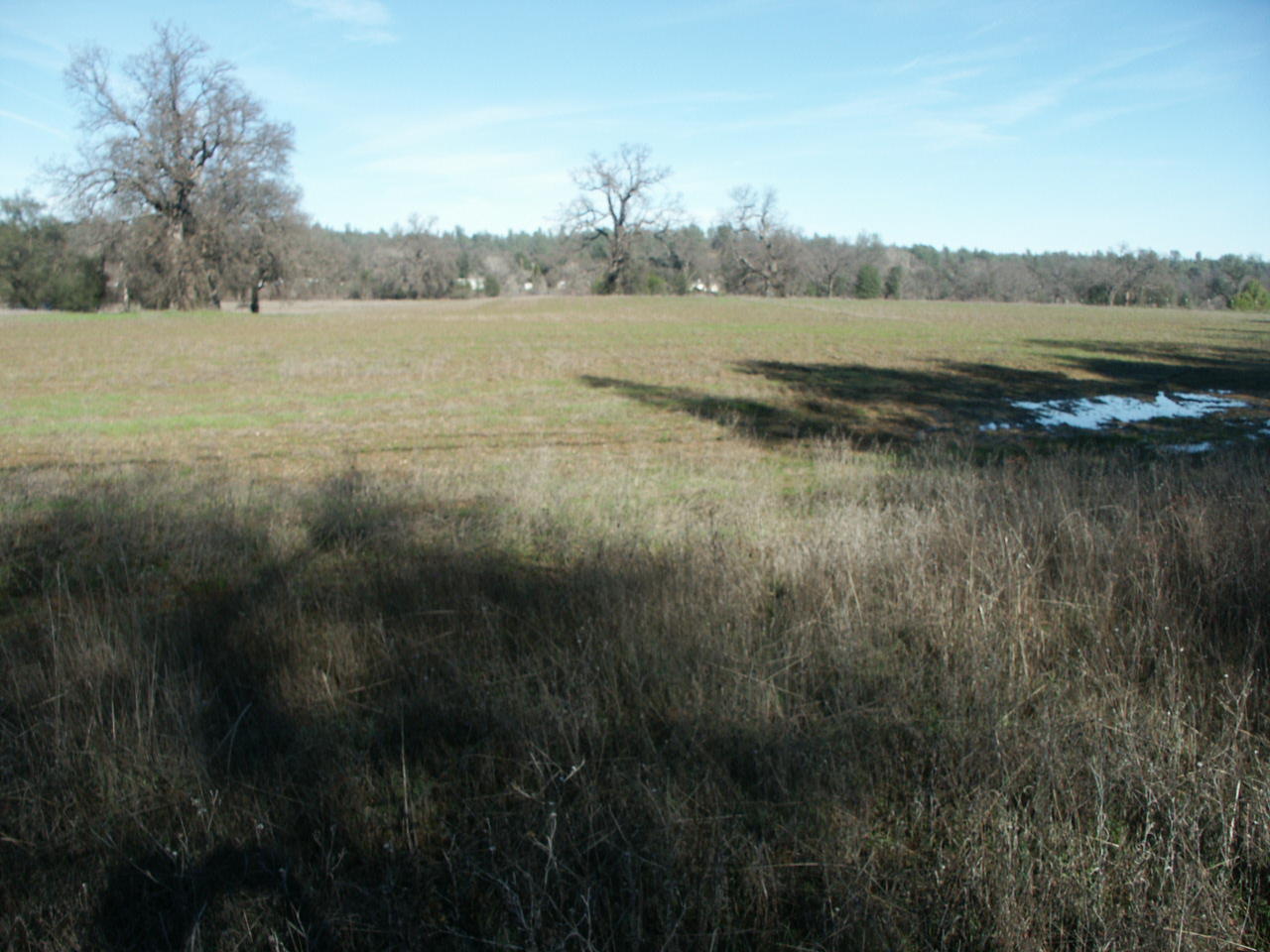 Bowman Road Cottonwood, CA 96022 - Photo 1 of 7 PICT0291