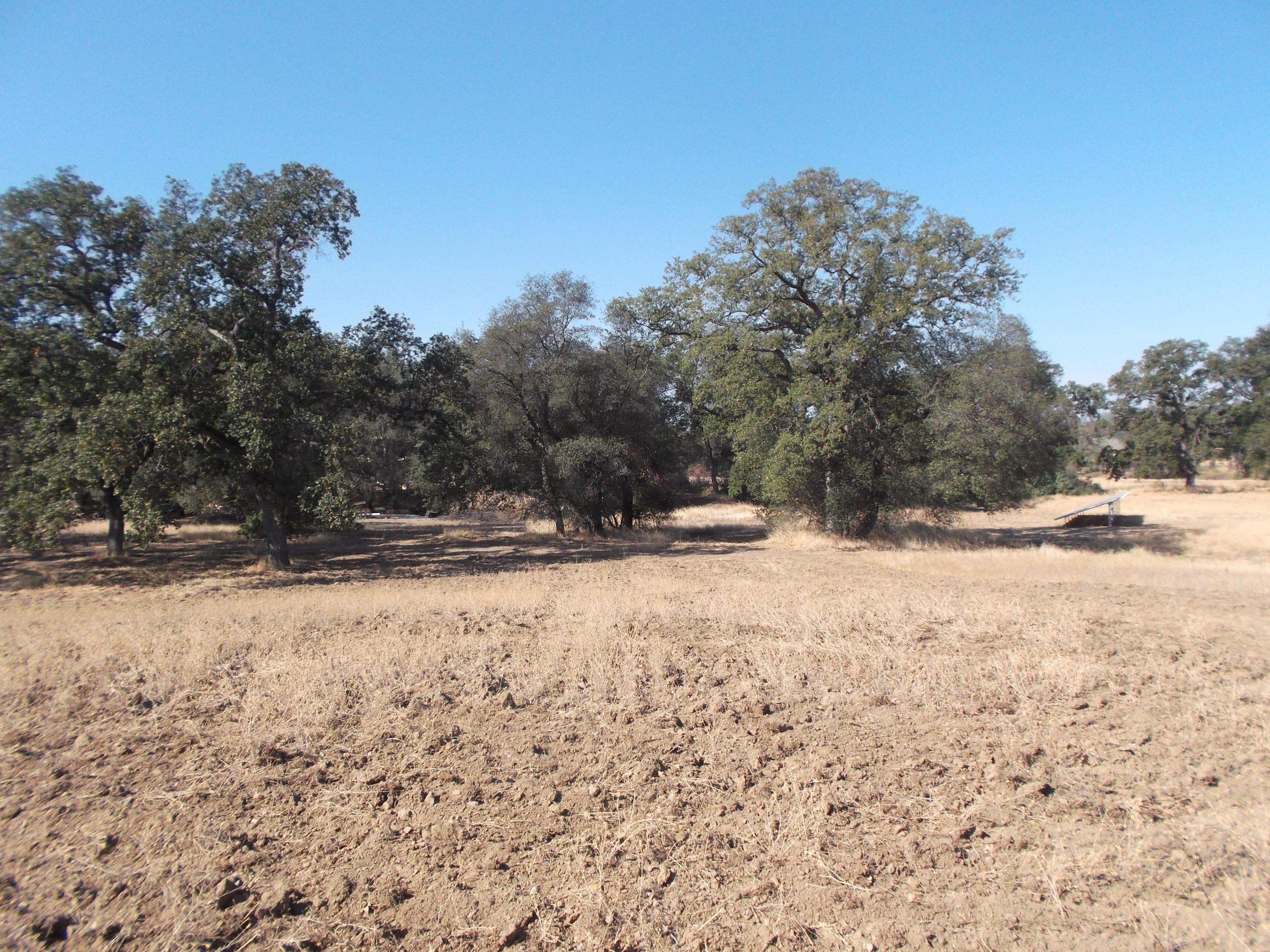 Bowman Road Cottonwood, CA 96022 - Photo 2 of 7 Albrecht-for both parcels