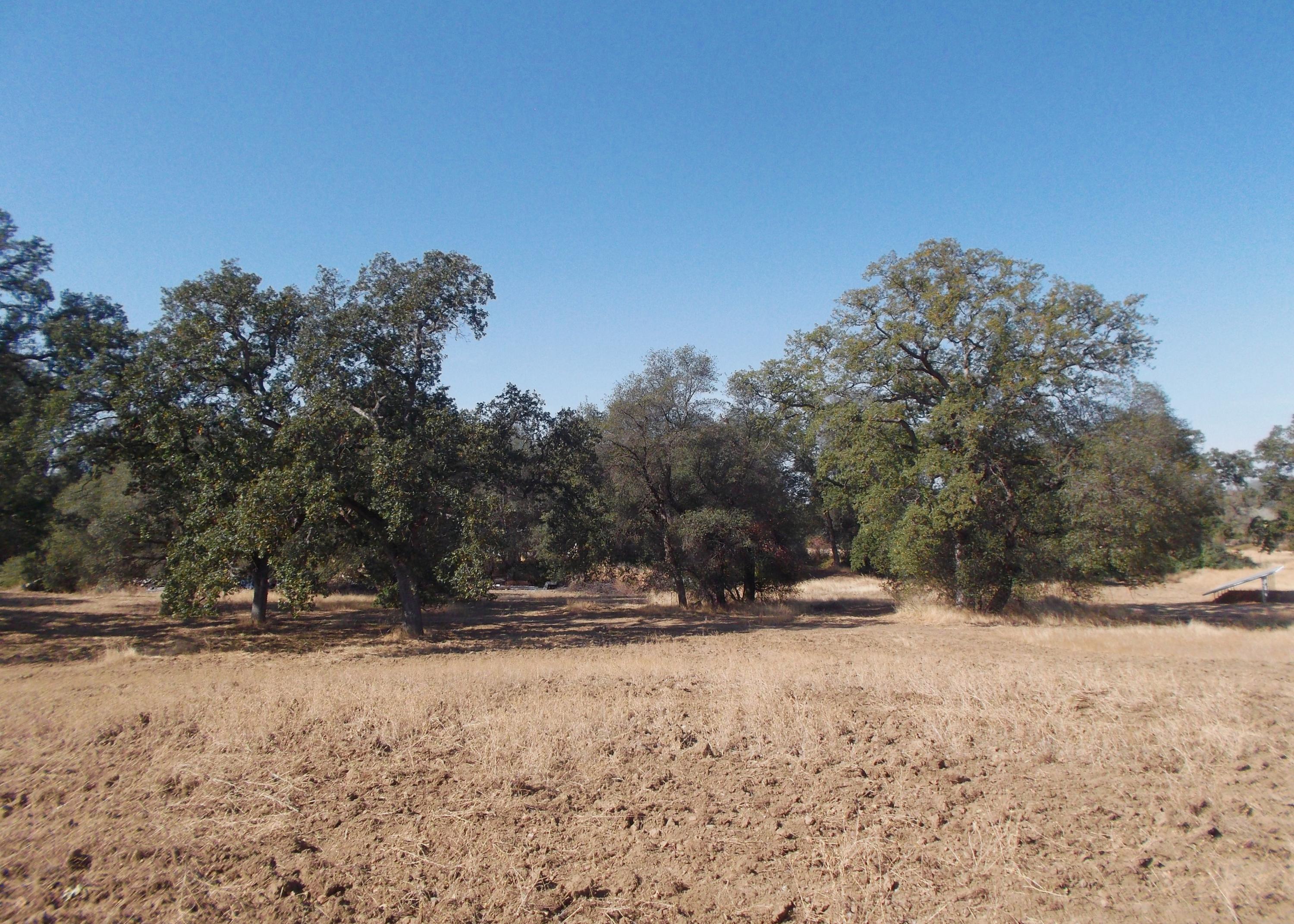 Bowman Road Cottonwood, CA 96022 - Photo 7 of 7 DSCF5304