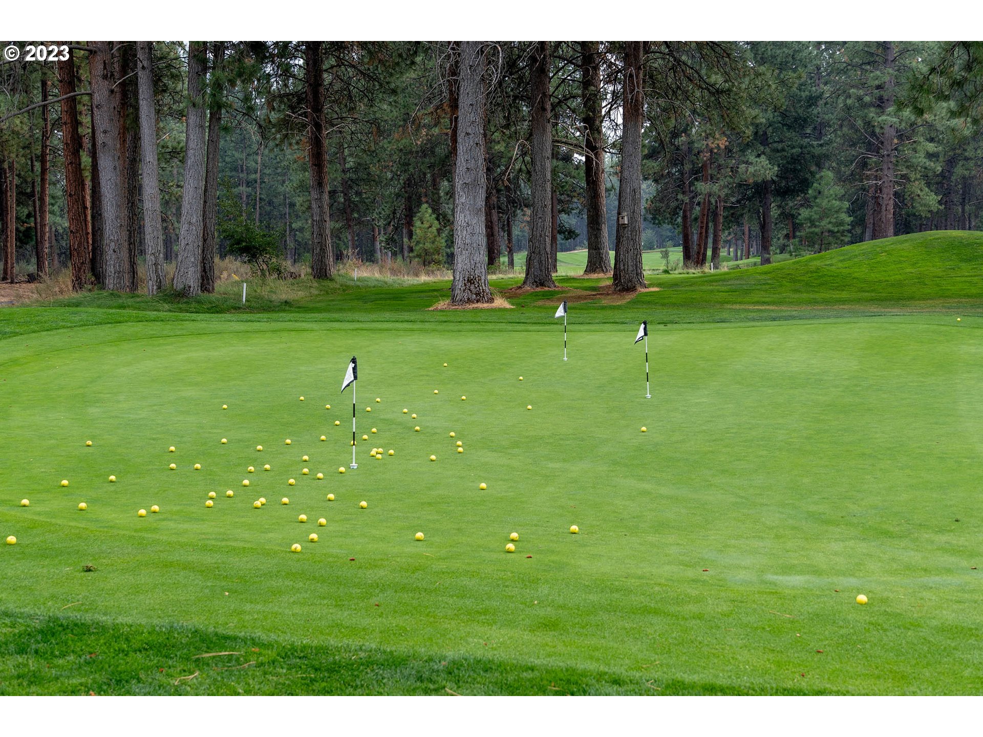 60446 Seventh Mountain Drive Bend, OR 97702 - Photo 29 of 34