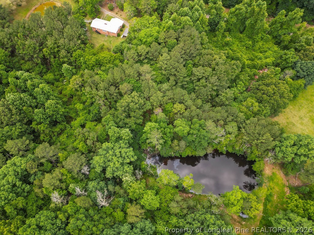 475 Simmons Road Robbins, NC 27325 - Photo 31 of 41