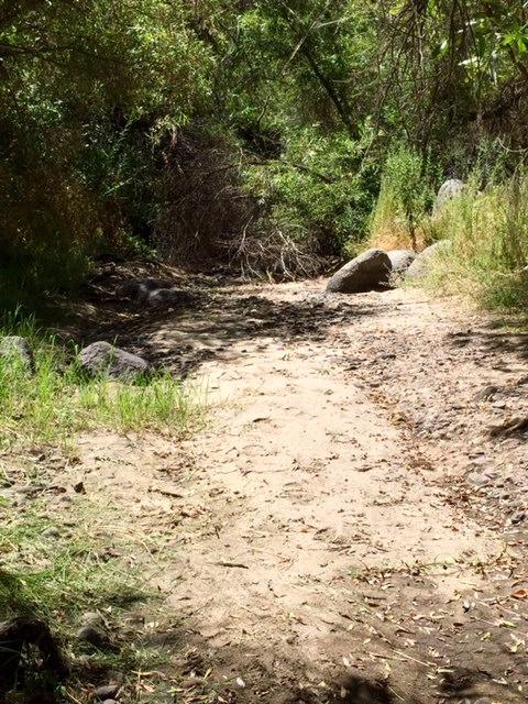 40400 Dunlap Road Dunlap, CA 93621 - Photo 25 of 51 Gallery Image 25