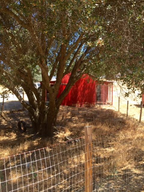 40400 Dunlap Road Dunlap, CA 93621 - Photo 29 of 51 Gallery Image 29