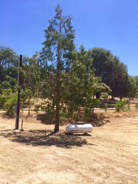 40400 Dunlap Road Dunlap, CA 93621 - Photo 34 of 51 Gallery Image 34