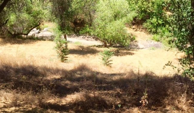 40400 Dunlap Road Dunlap, CA 93621 - Photo 39 of 51 Gallery Image 39