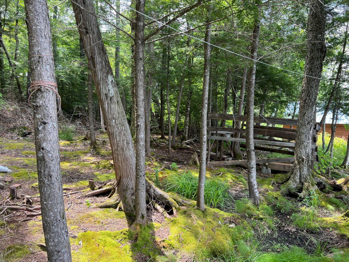 Mpi085 Mpi085 L6-5 Blanchard Twp Me 04406 Abbot, ME 04406 - Photo 12 of 18 IMG_4484