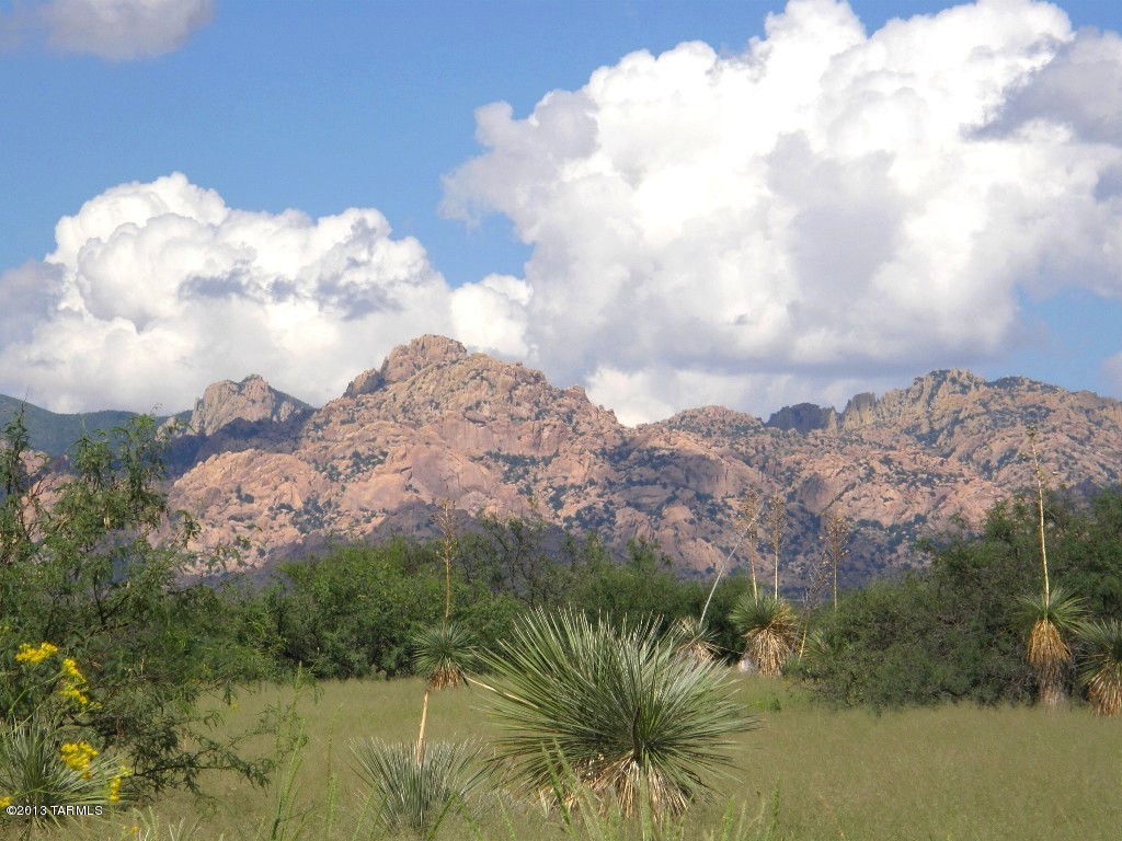 Lot 62 East Naiche Road, Unit 62 St. David, AZ 85630 - Photo 1 of 20