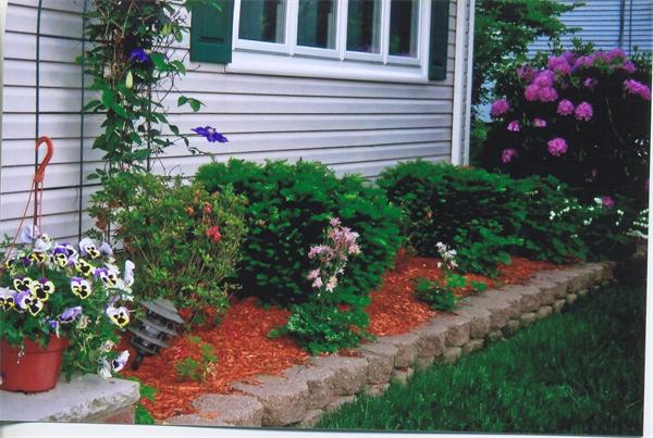 Gallery Image 6