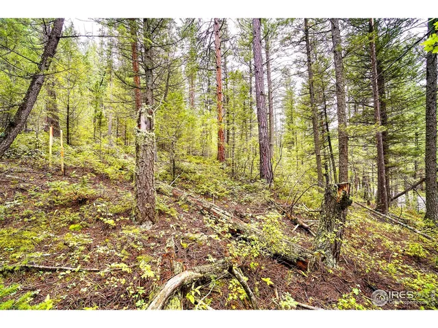 $145,000 | 10862 Twin Spruce Road, Golden, CO 80403