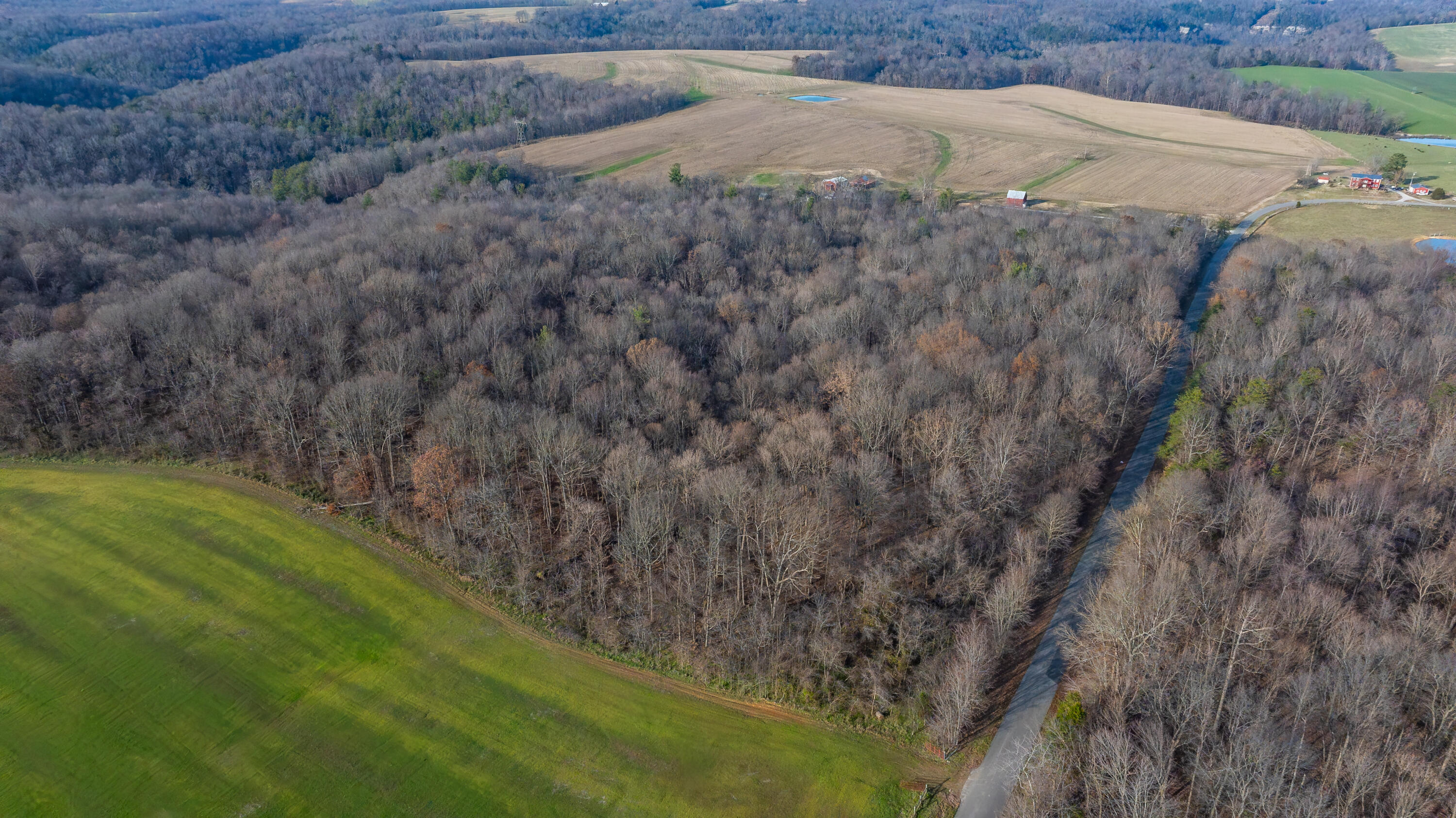 0 Coal Bank Road Sharon Grove, KY 42280 - Photo 15 of 16 DJI_20251212143421_0206_D-HDR