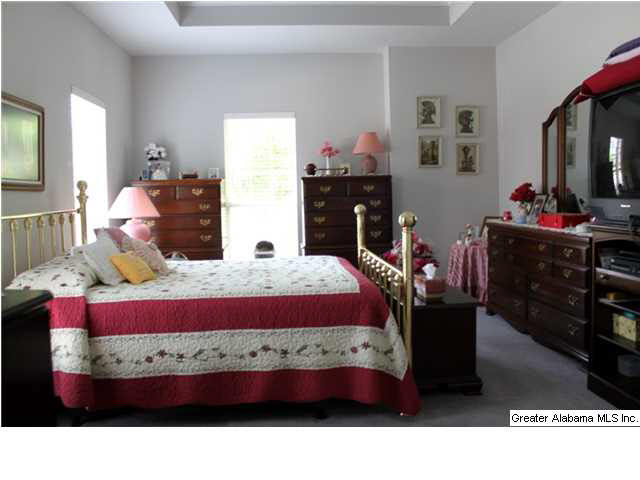 2104 Grande View Lane North Alabaster, AL 35114 - Photo 12 of 28