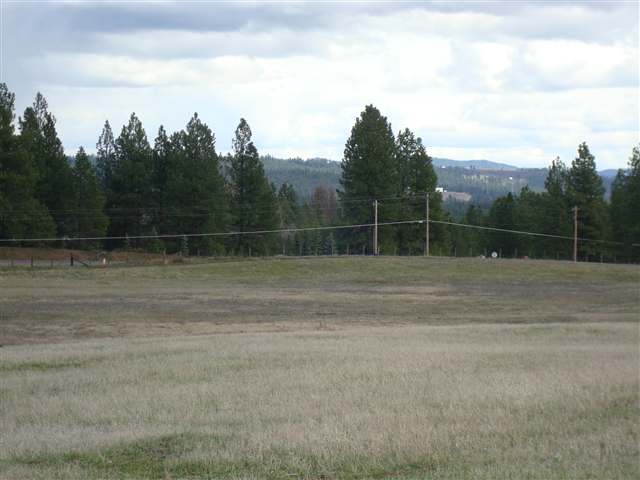 21200 North Perry Road Colbert, WA 99005 - Photo 3 of 8
