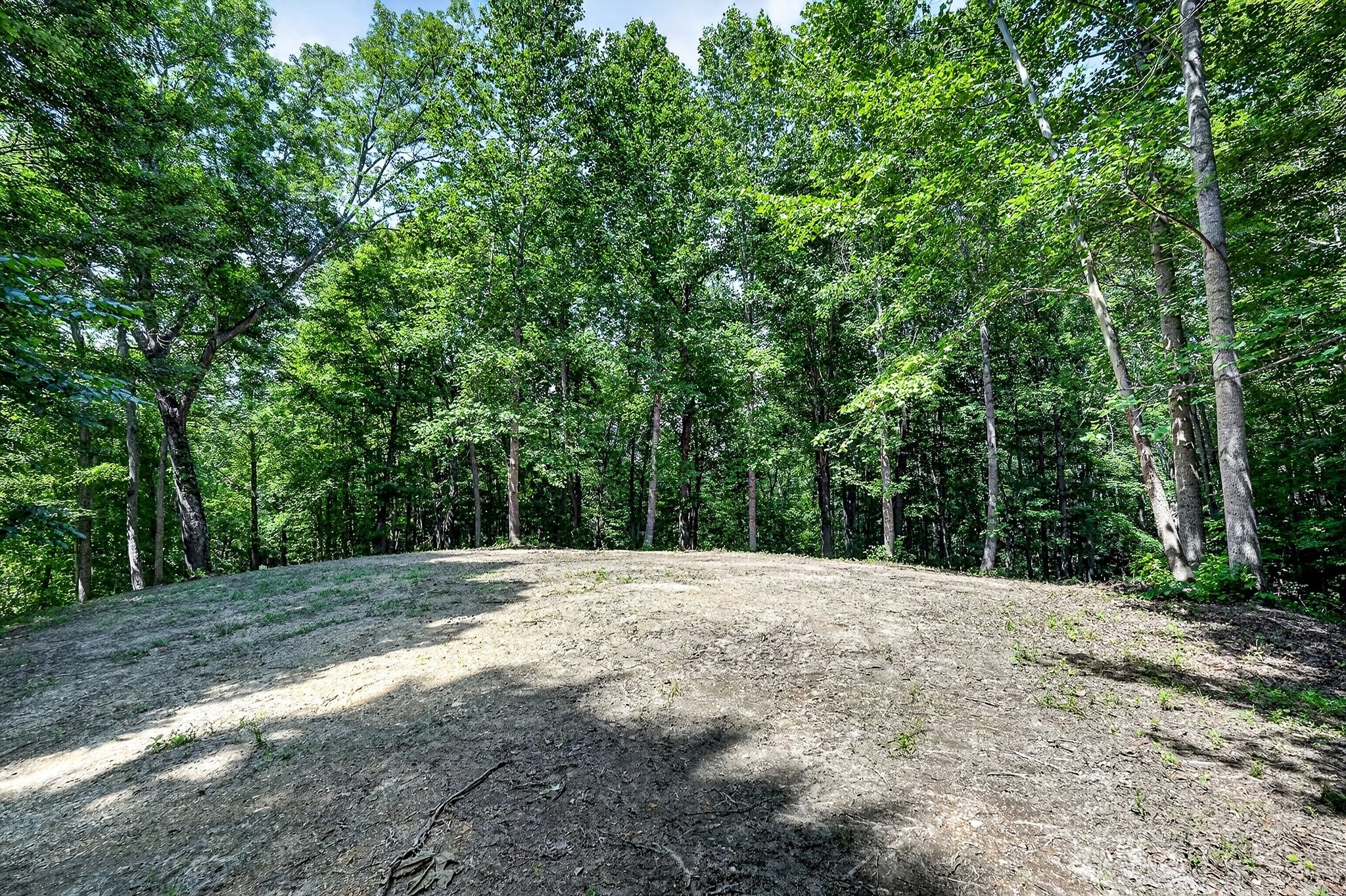 2926 Bryant Ridge Road Baxter, TN 38544 - Photo 7 of 64
