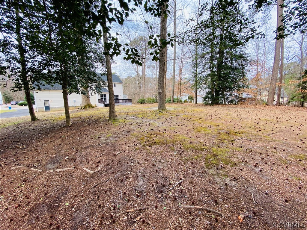 6956 Fox Drive Prince George, VA 23875 - Photo 26 of 26 a fire hydrant in middle of the forest