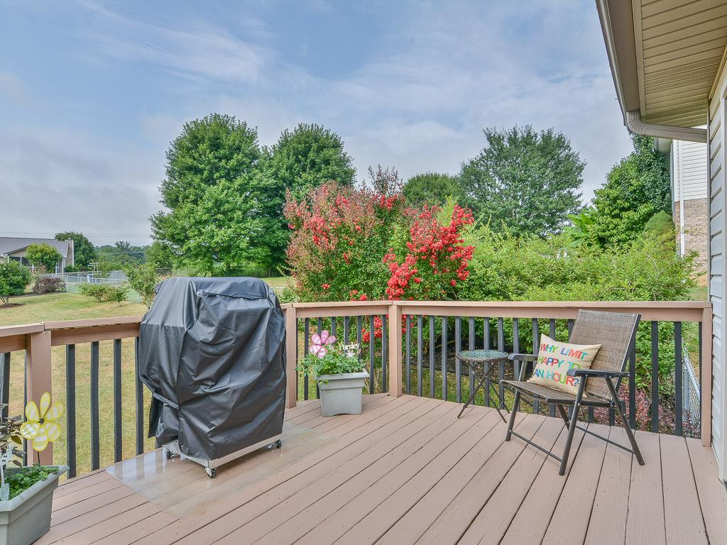 115 Hollow View Road Gray, TN 37615 - Photo 6 of 28 DECK WITH VIEWS