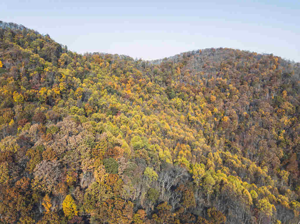 Shooting Creek Road Ferrum, VA 24088 - Photo 2 of 26 Gallery Image 2
