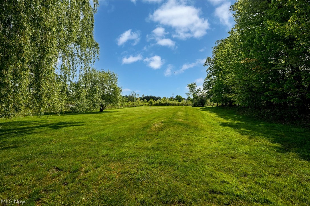 4477 Windfall Road Medina, OH 44256 - Photo 2 of 35 Backyard