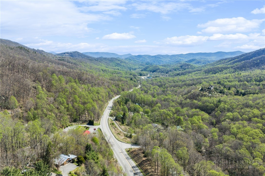 184 Dutch Treat Road Banner Elk, NC 28604 - Photo 48 of 49