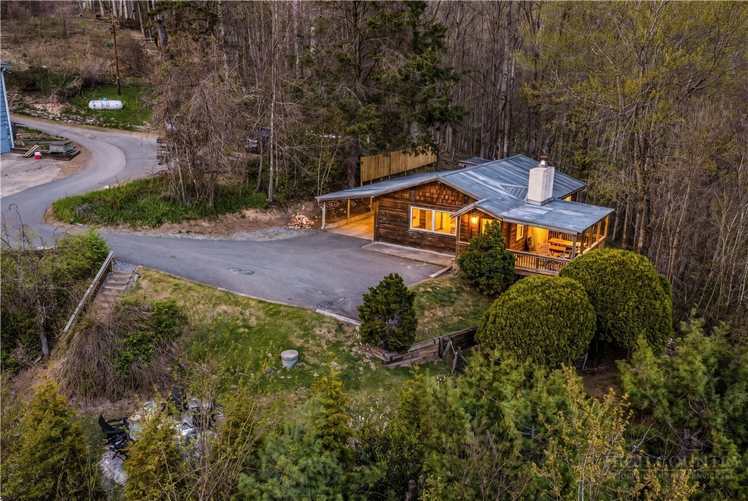 184 Dutch Treat Road Banner Elk, NC 28604 - Photo 5 of 49