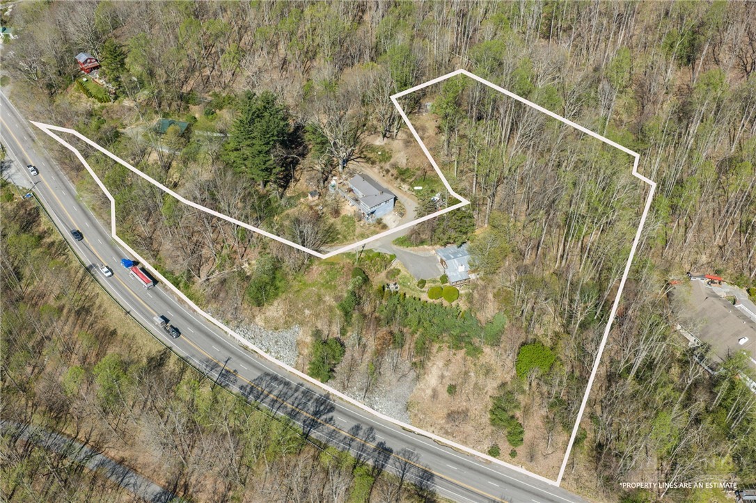 184 Dutch Treat Road Banner Elk, NC 28604 - Photo 6 of 49