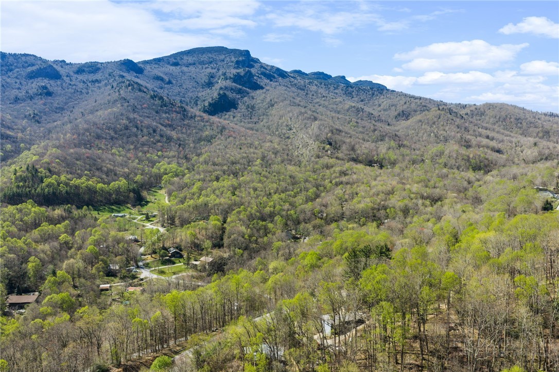184 Dutch Treat Road Banner Elk, NC 28604 - Photo 7 of 49