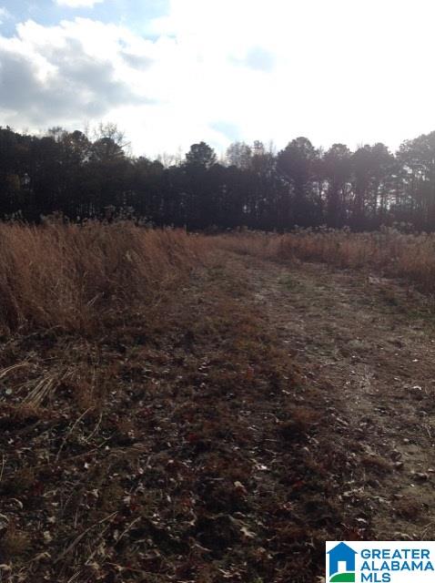 0 Lister Ferry Road, Unit 1 Gadsden, AL 35907 - Photo 25 of 30