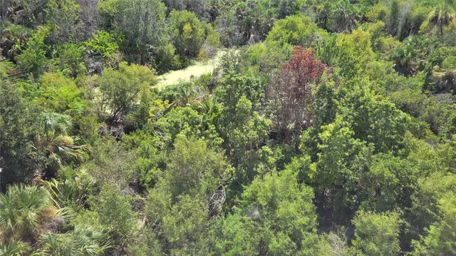 an aerial view of residential house with outdoor space and trees all around