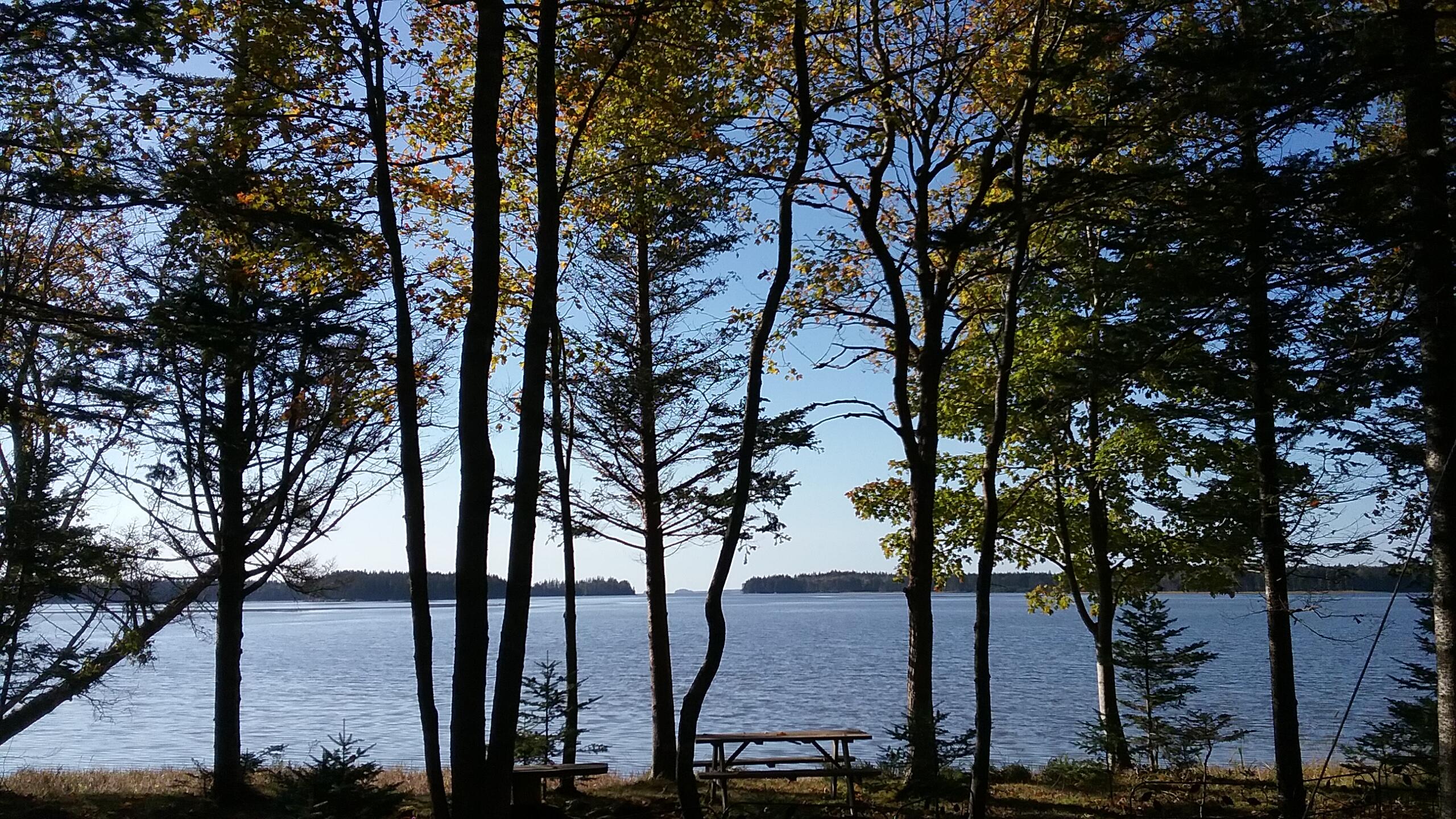 207 Rays Point Road Milbridge, ME 04658 - Photo 26 of 37 25_view_20231010_092537
