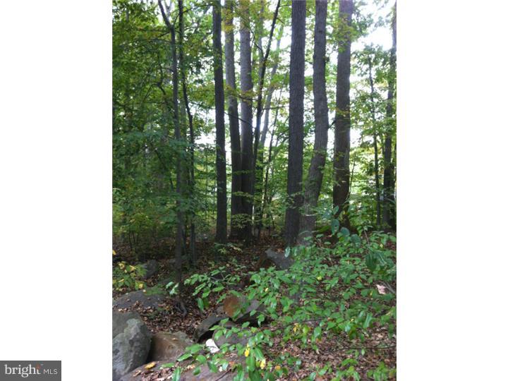 436 Mt Lucas Road Princeton, NJ 08540 - Photo 3 of 25