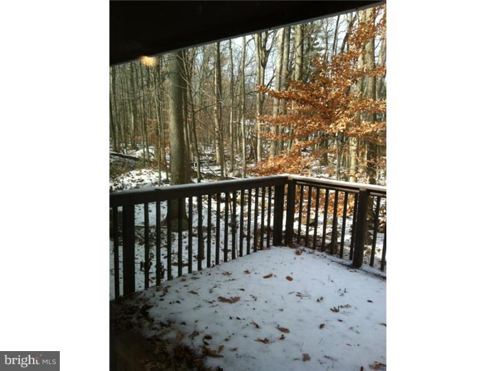 436 Mt Lucas Road Princeton, NJ 08540 - Photo 21 of 25