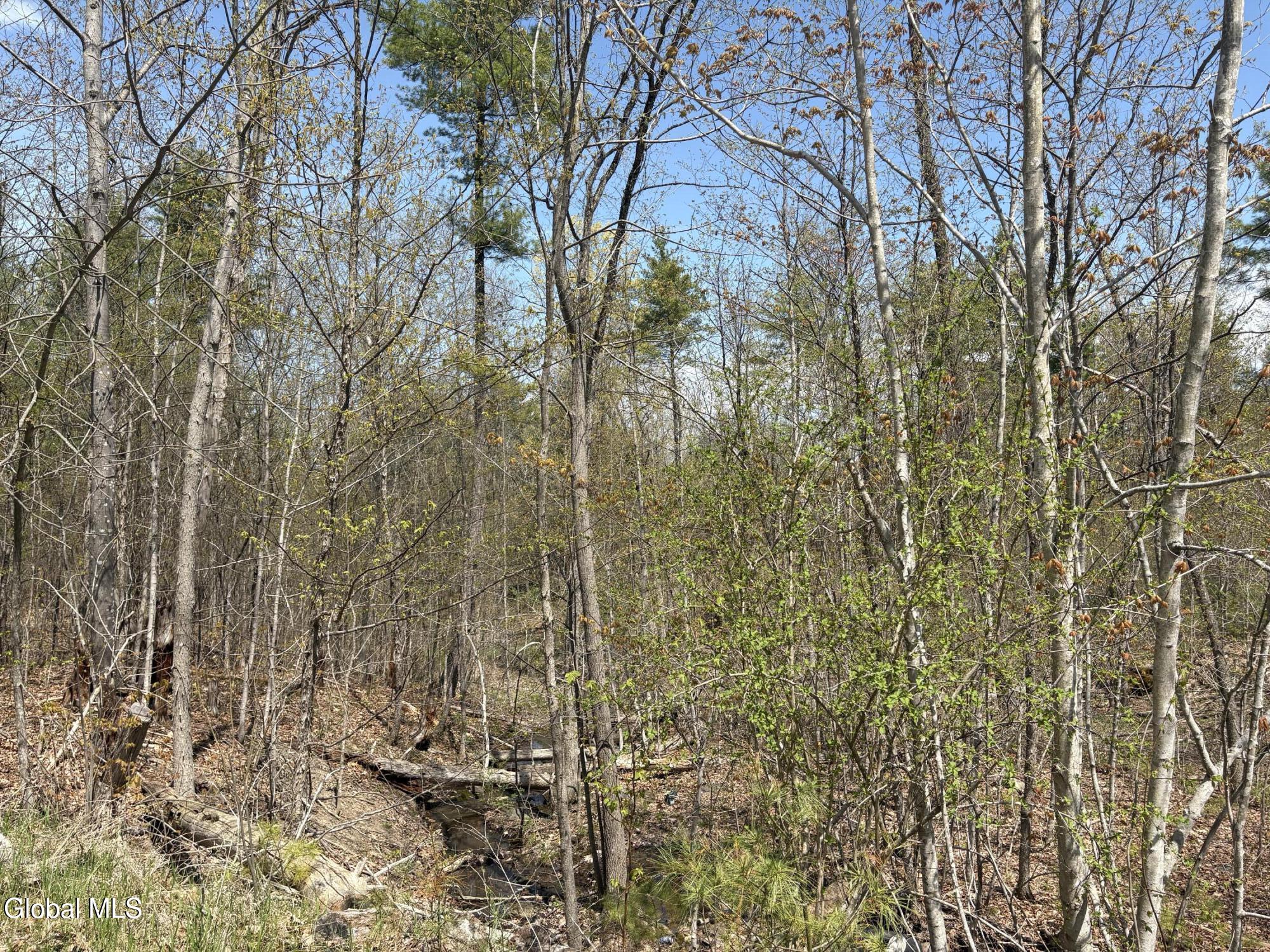 1310 Lower Road Ticonderoga, NY 12861 - Photo 3 of 7 IMG_1348