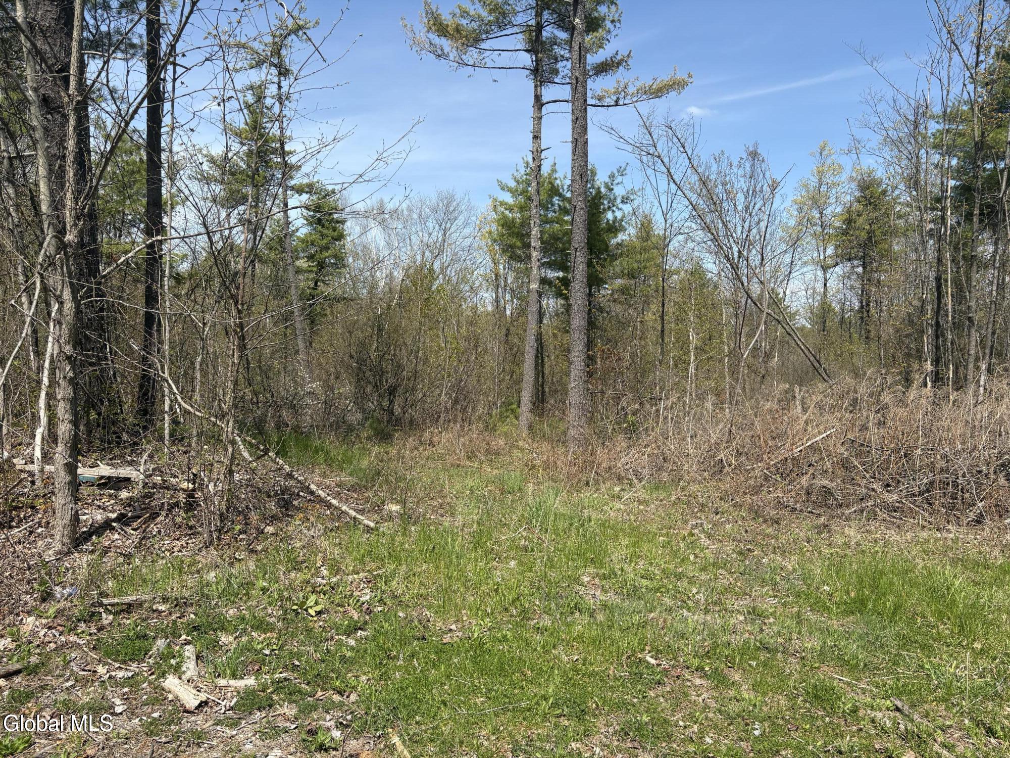1310 Lower Road Ticonderoga, NY 12861 - Photo 5 of 7 IMG_1337