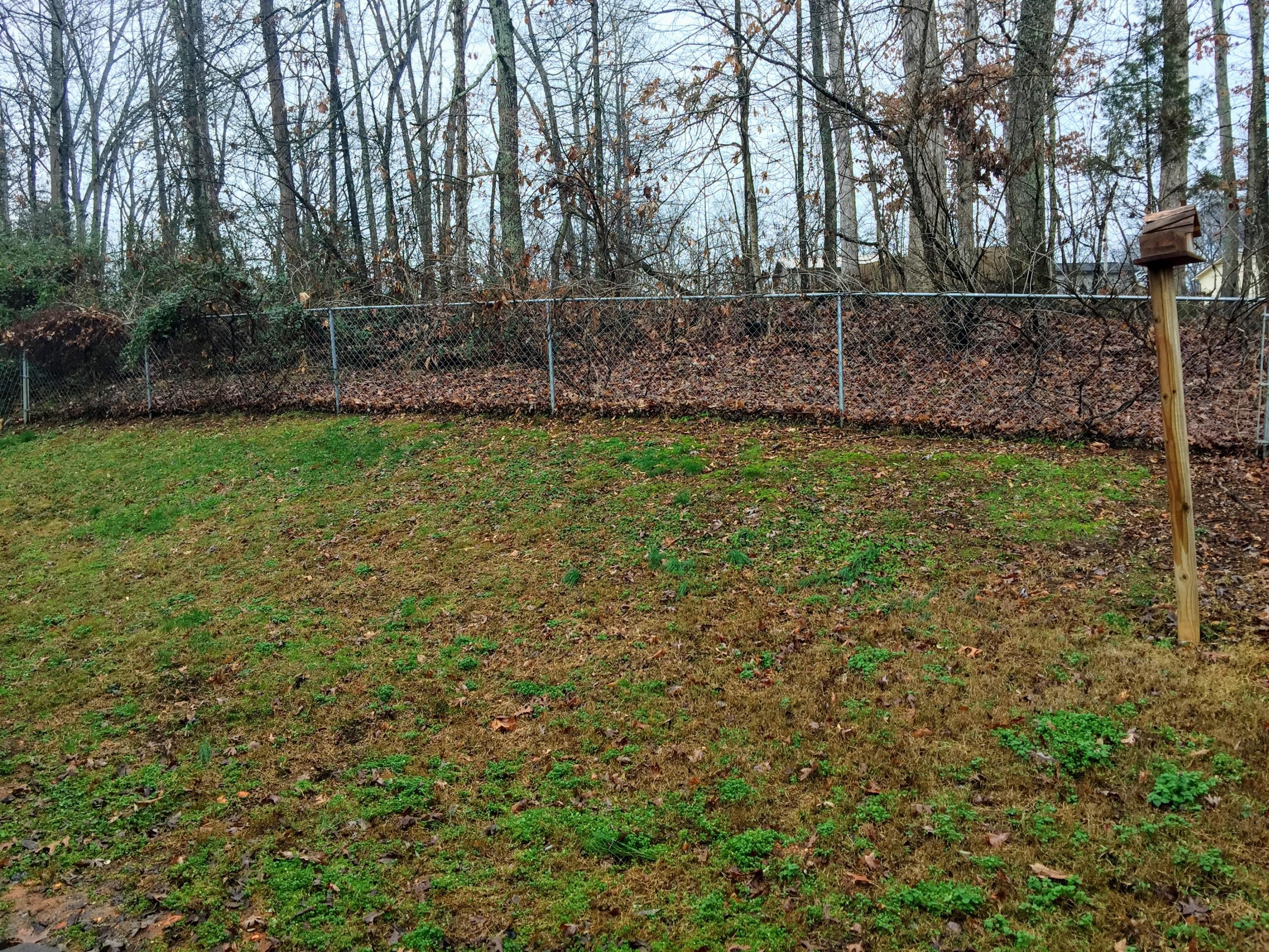 156 Barrier Road Loudon, TN 37774 - Photo 8 of 35 156 Barrier