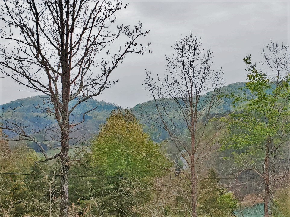 6061 Red Cedar Lane Sevierville, TN 37876 - Photo 3 of 9