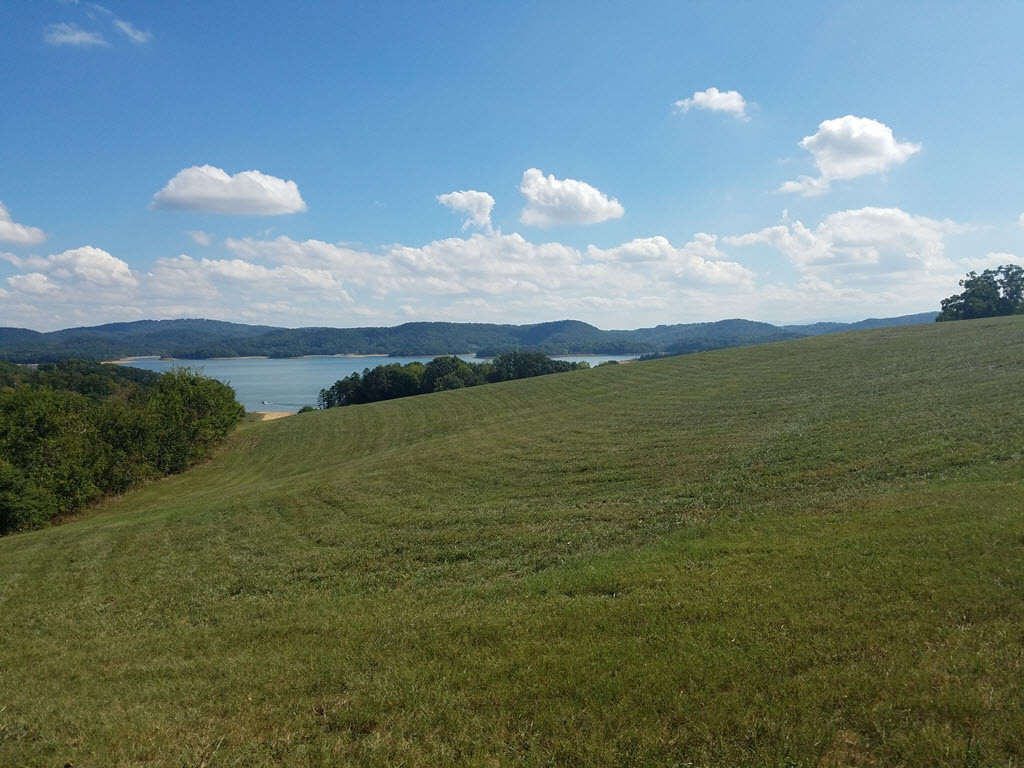 Lot 157 Hoppers Bluff, Unit 157 Rutledge, TN 37861 - Photo 6 of 18 Photo 6
