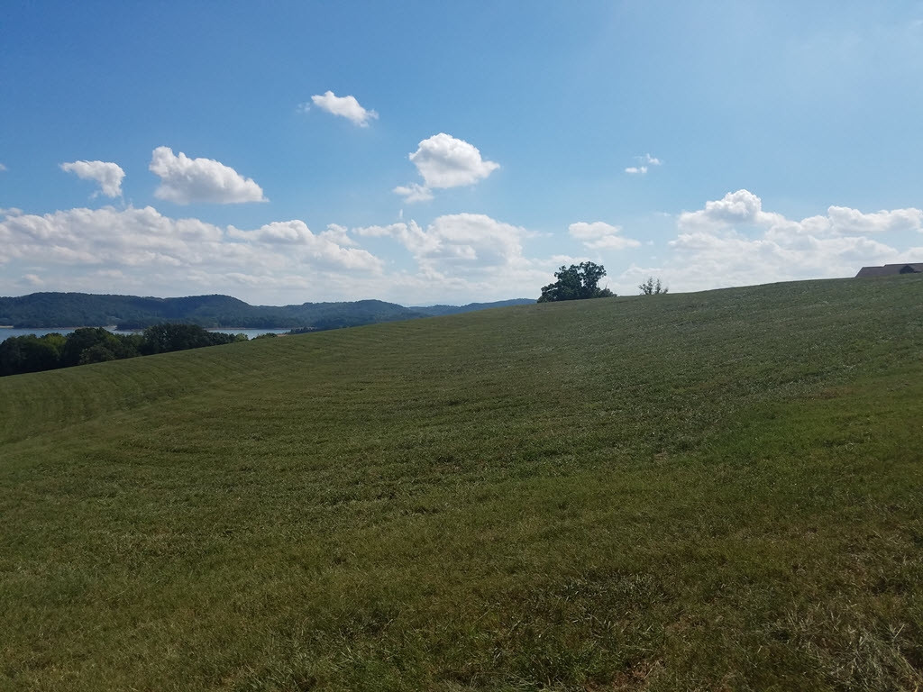 Lot 157 Hoppers Bluff, Unit 157 Rutledge, TN 37861 - Photo 8 of 18 Photo 8