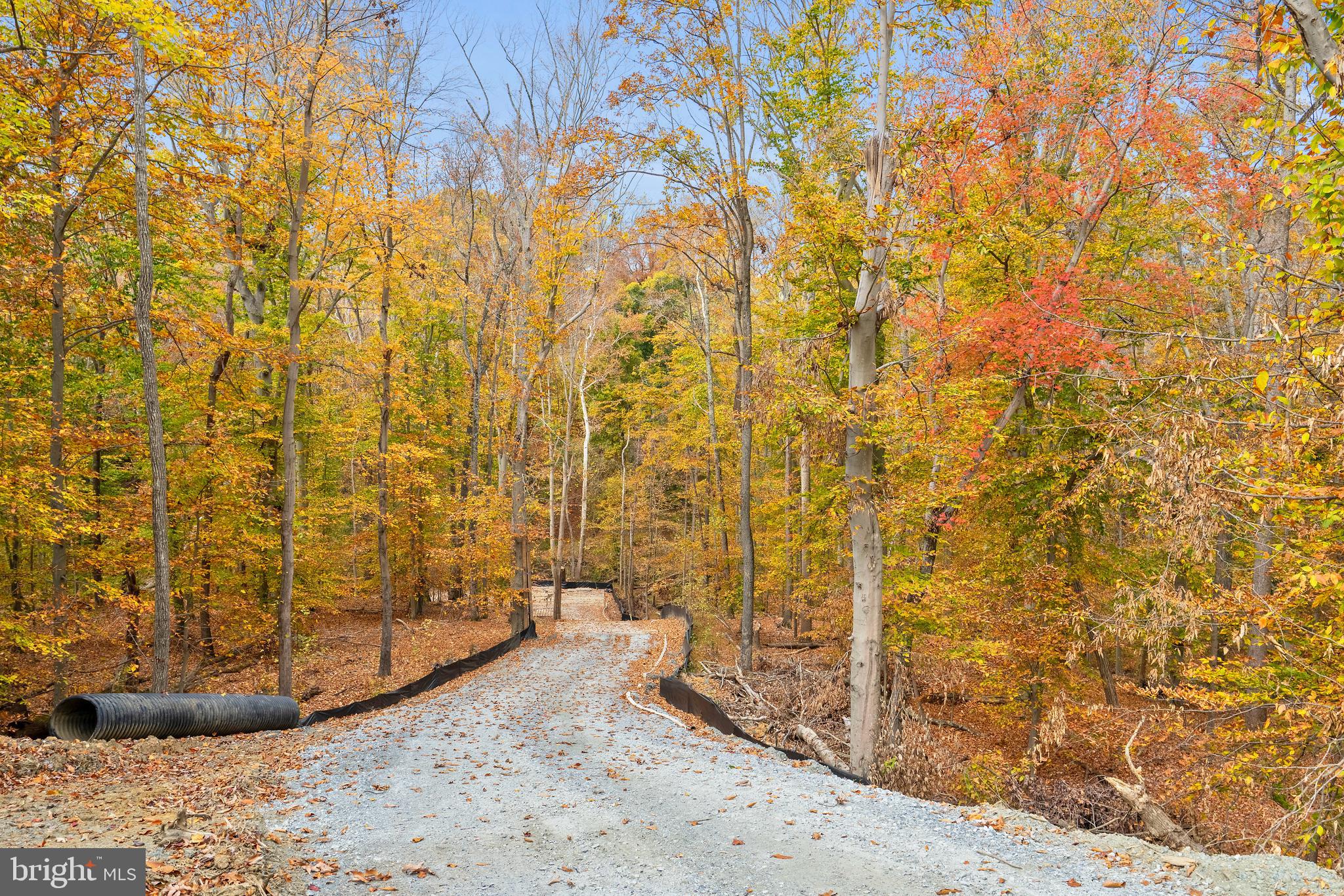 500 Holly Road Fort Washington, MD 20744 - Photo 4 of 8 a view of a bathroom with shower