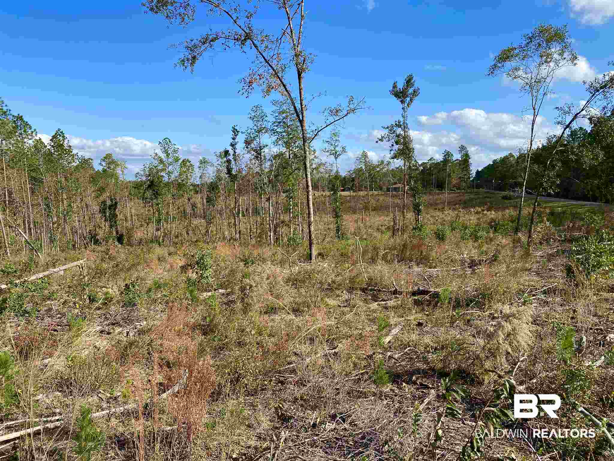 0 County Road 19 Chatom, AL 36518 - Photo 12 of 18