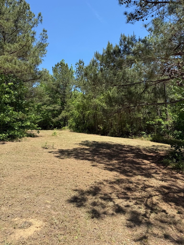 0 County Road 50 Abbeville, AL 36310 - Photo 7 of 9