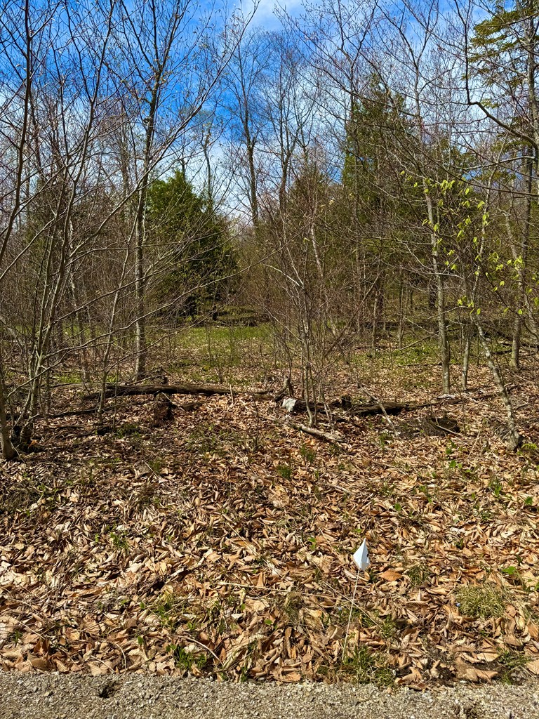Tbd Lot1 Isle View Road Ellison Bay, WI 54210 - Photo 8 of 11