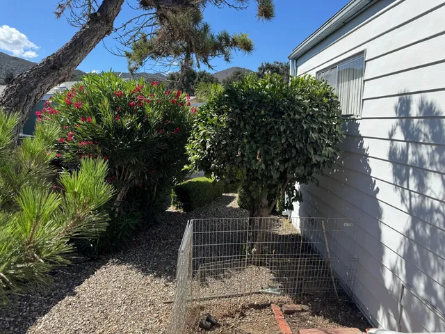 a view of a back yard