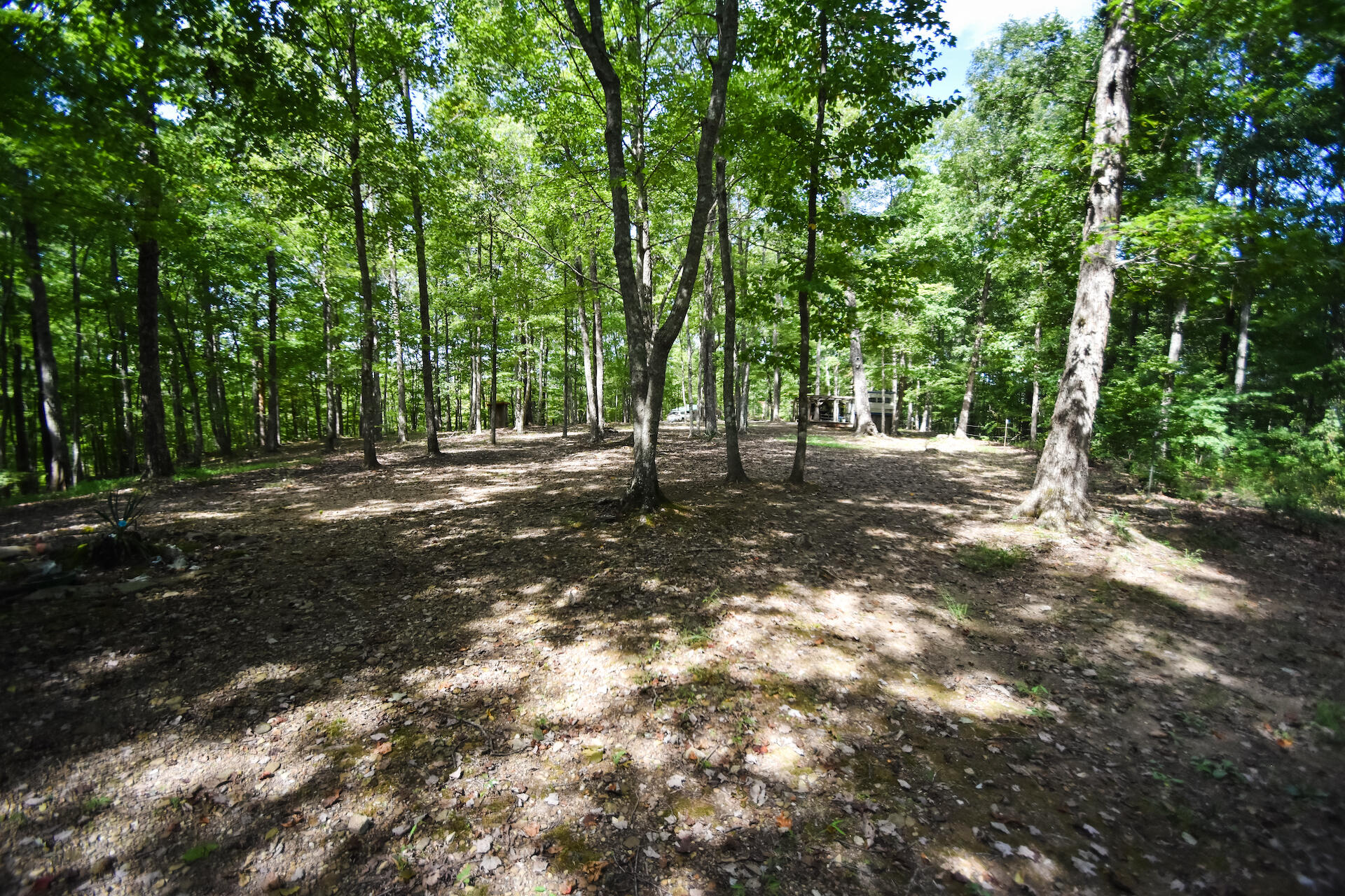 0 Carpenter Ridge Road Sandgap, KY 40481 - Photo 22 of 36 DSC_2140