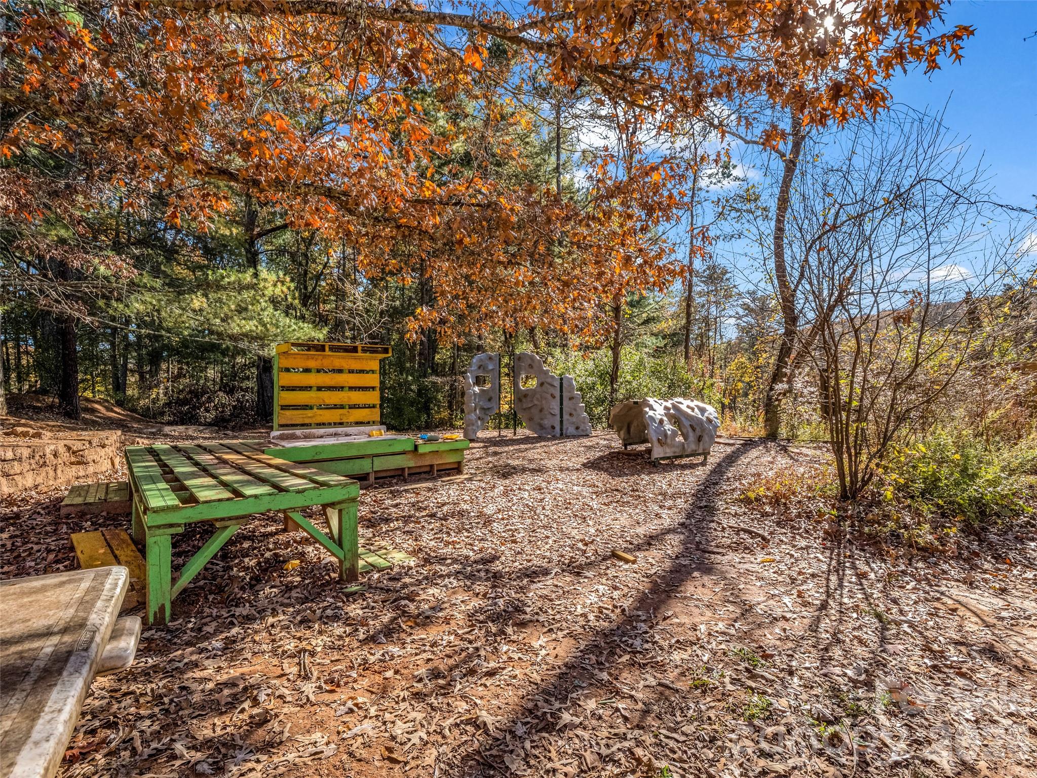 101 Bent Creek Ranch Road Asheville, NC 28806 - Photo 44 of 48