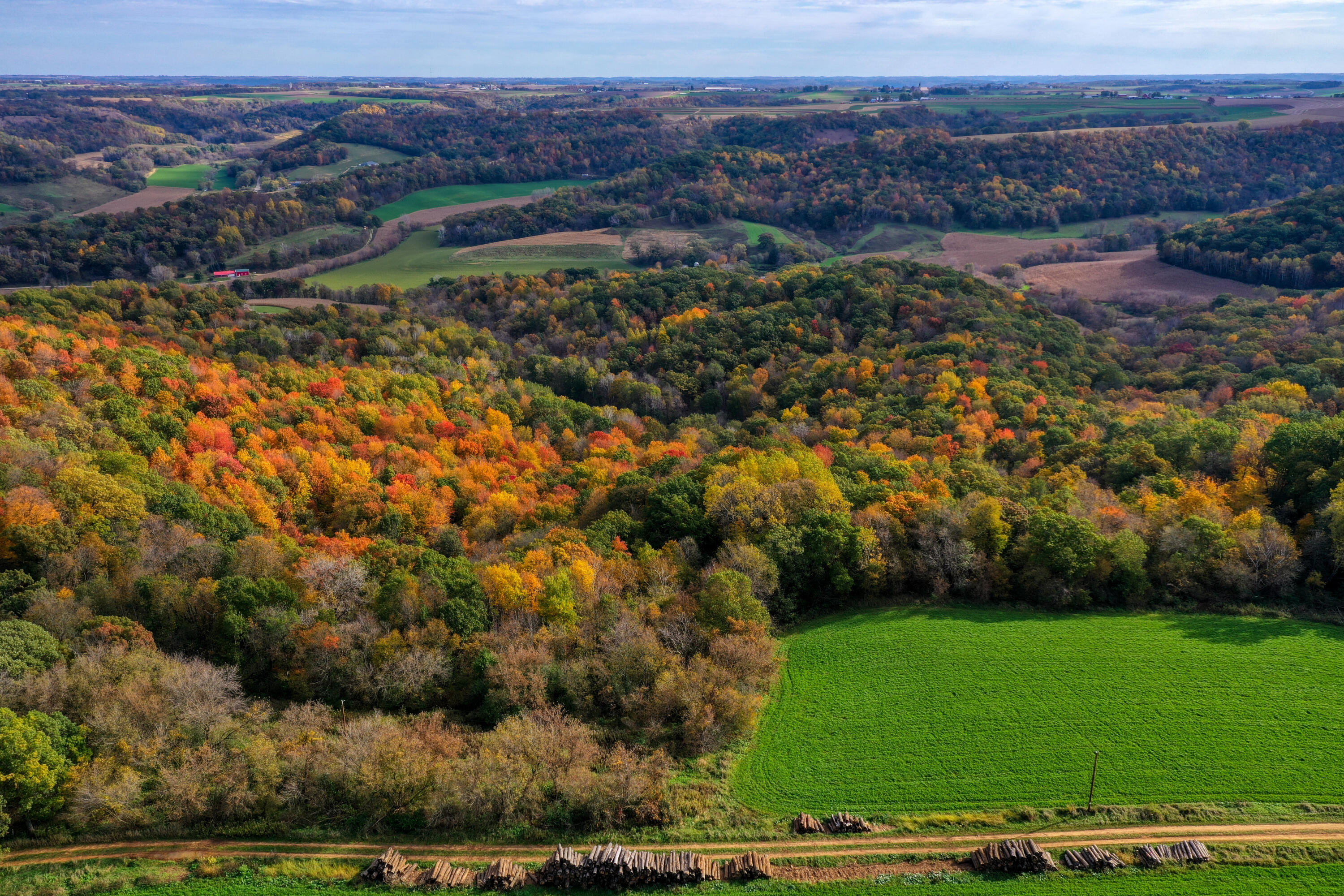 DJI_0118