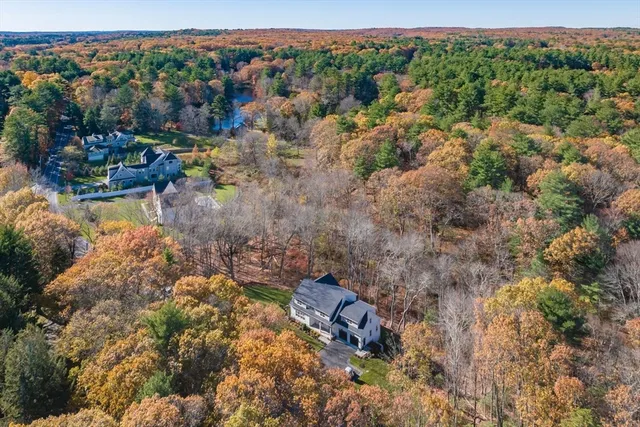 a view of a forest with a lake
