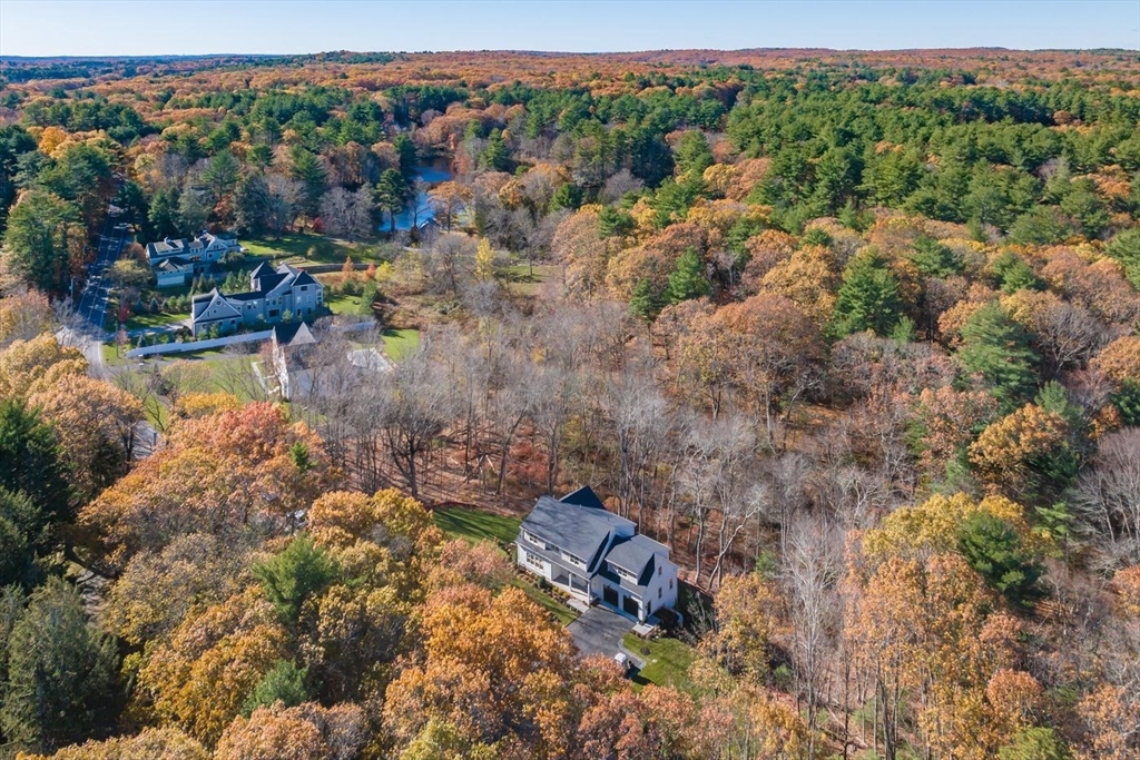 298 Summer Street Westwood, MA 02090 - Photo 24 of 24 a view of a forest with a lake