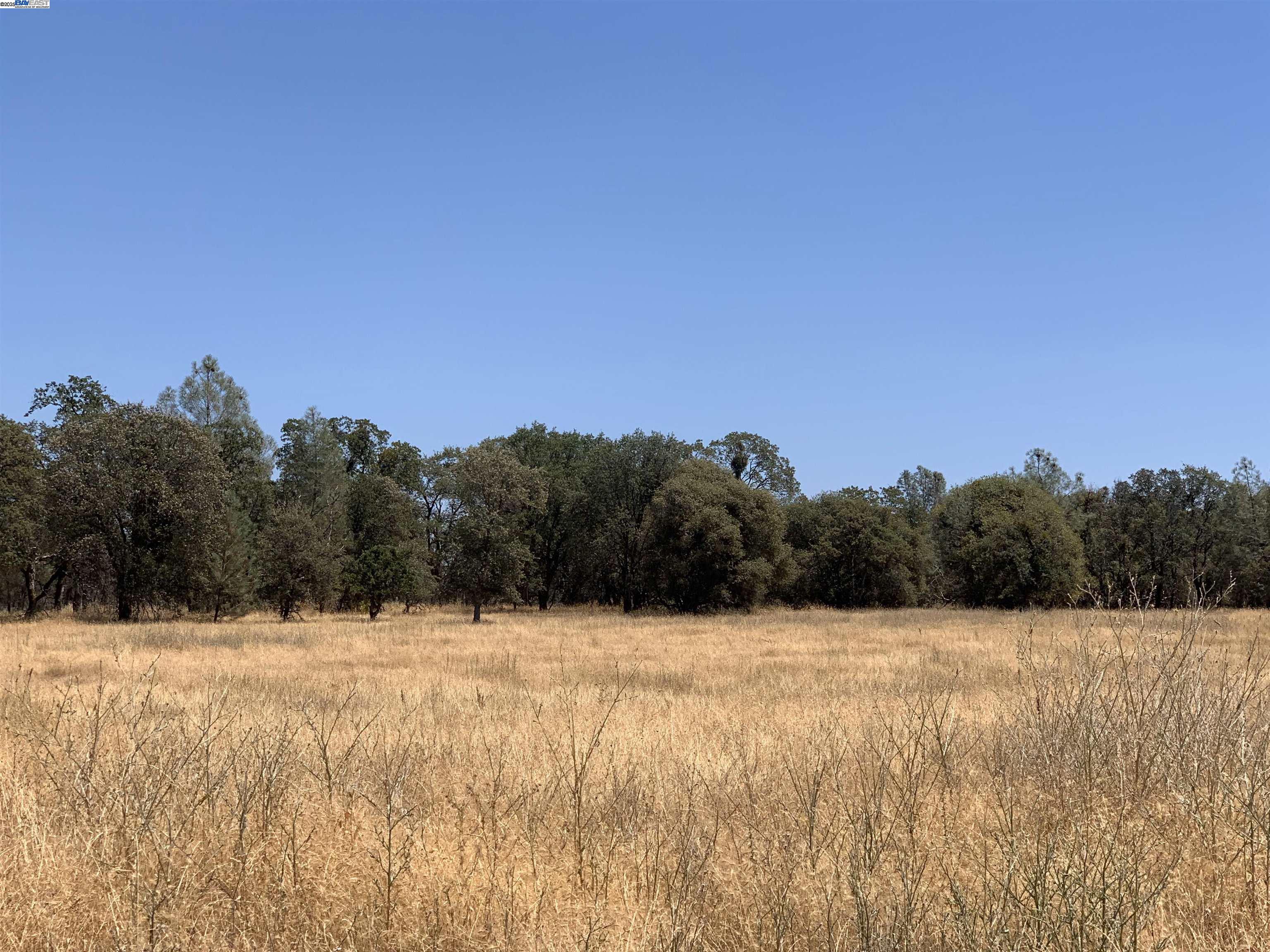 14011 Neptune Road Rackerby, CA 95972 - Photo 8 of 8