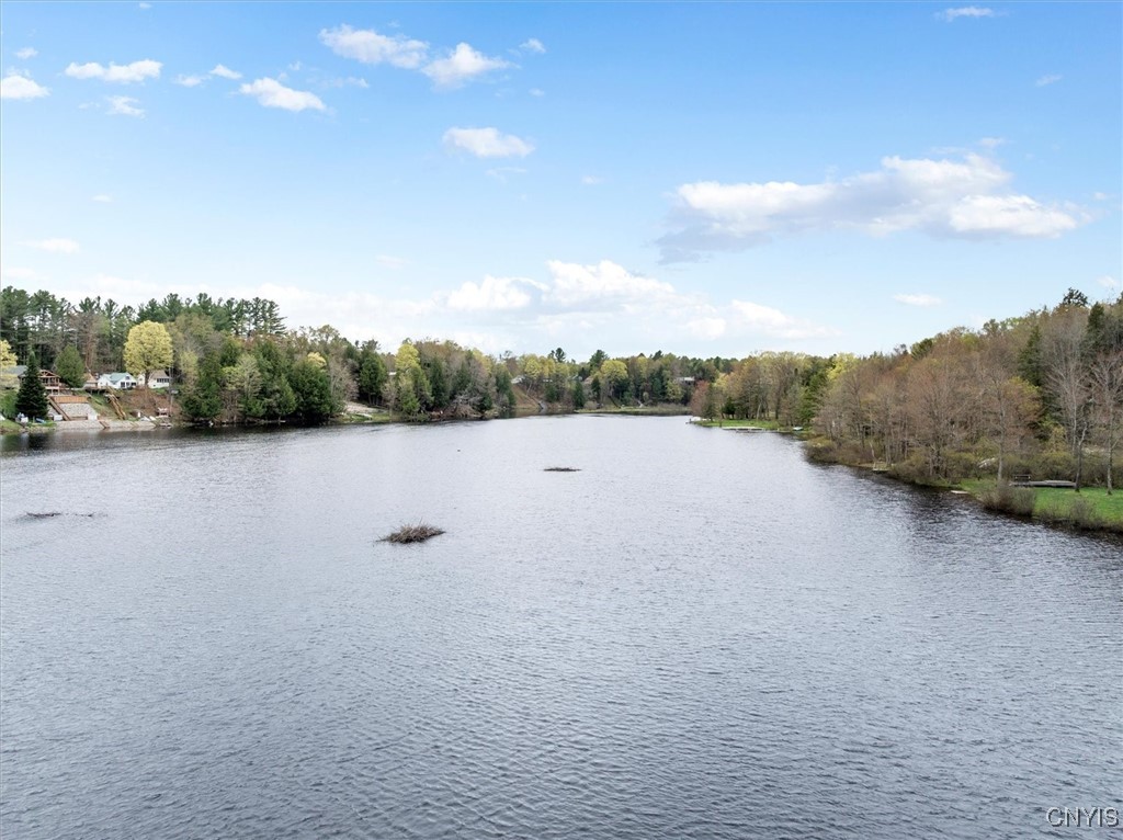 9039 Woods Road Remsen, NY 13438 - Photo 12 of 48